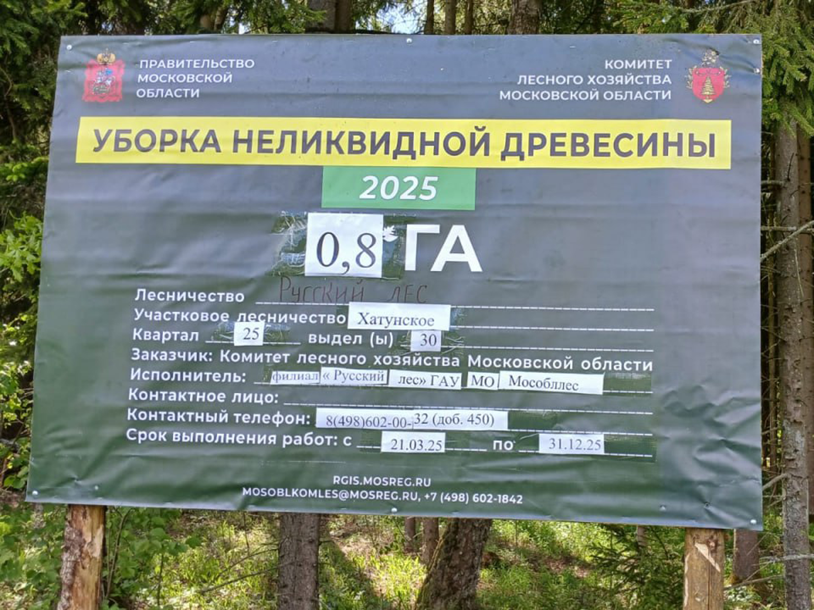 Фото: филиал «Русский лес» ГКУ МО «Мособллес»