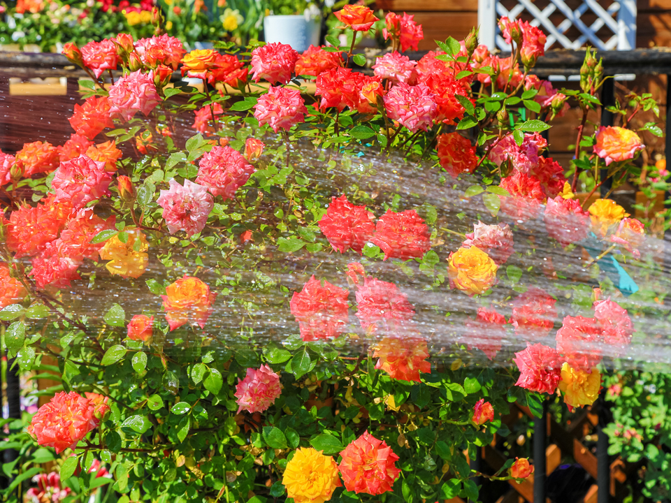 Фото: istockphoto.com