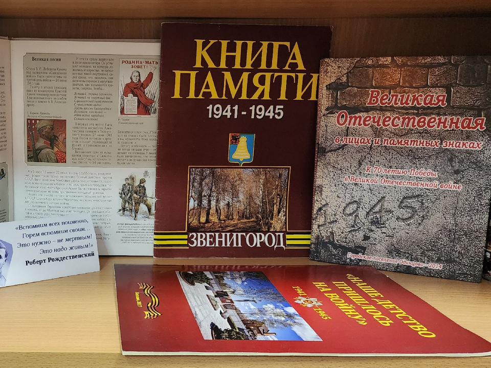 Фото: МедиаБанк Подмосковья/Хавива Фонина 