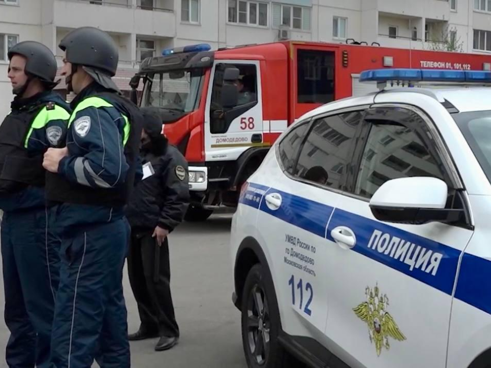 Фото: пресс-служба администрации г.о. Домодедово