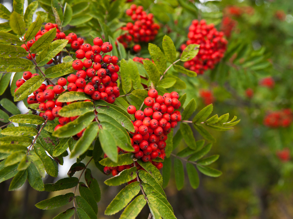 Фото: istockphoto.com