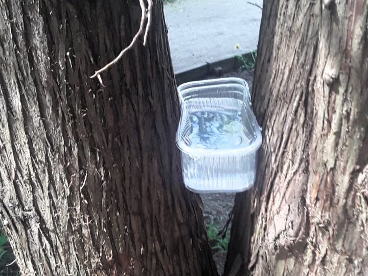 Фото: МБУК  «Городской парк культуры и отдыха»