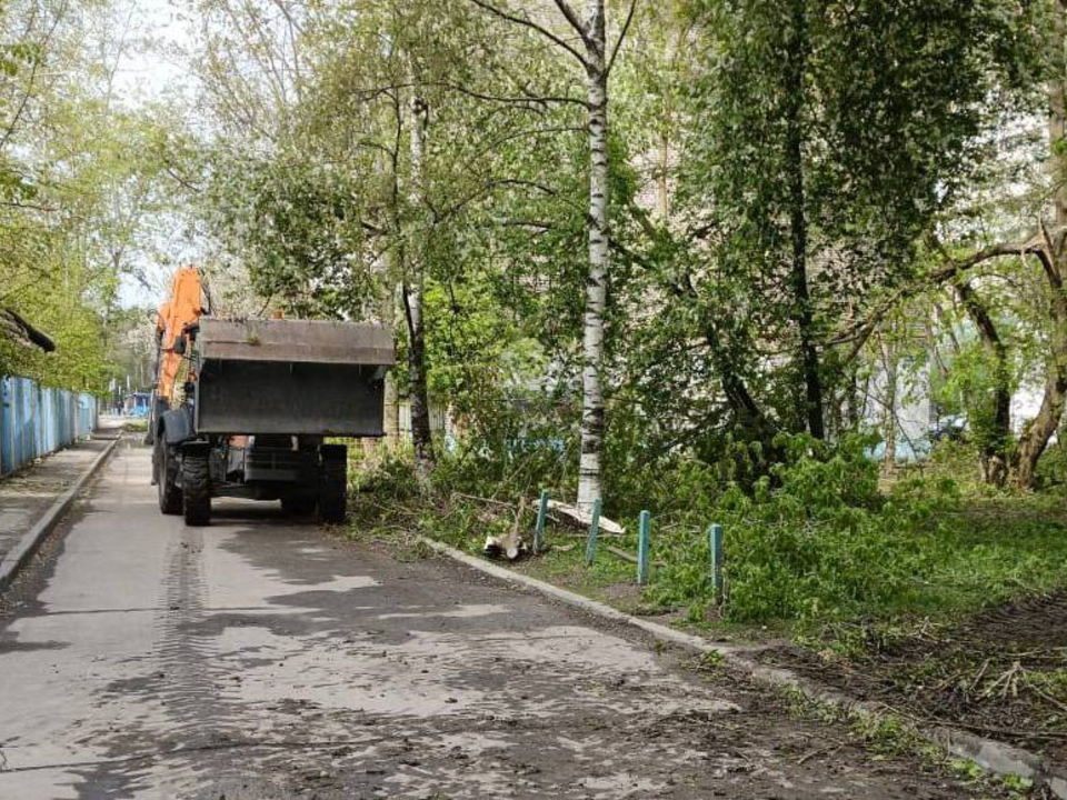 Фото: пресс-служба администрации г.о. Лобня