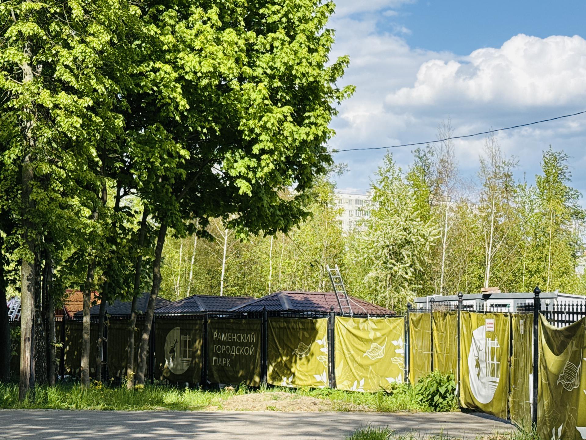 Фото: Ольга Стаферова