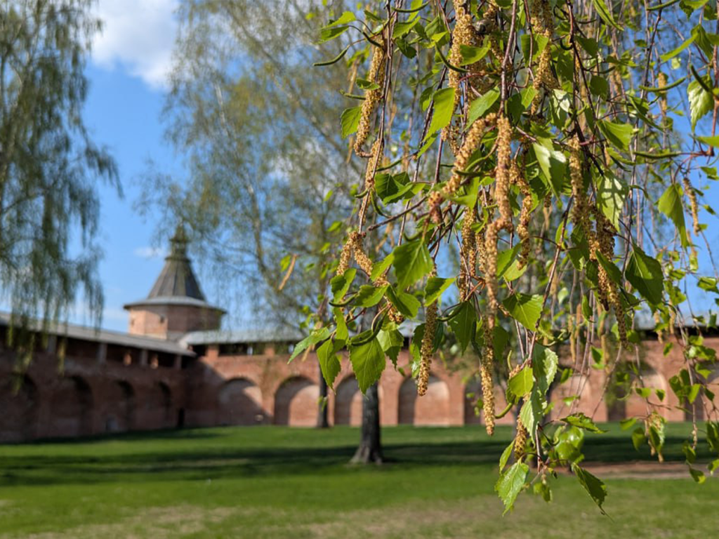 Фото: ГМЗ «Зарайский кремль»