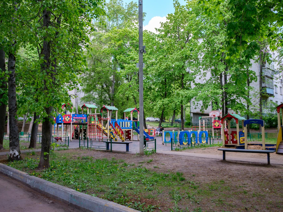 Фото: Александр Щербаков 