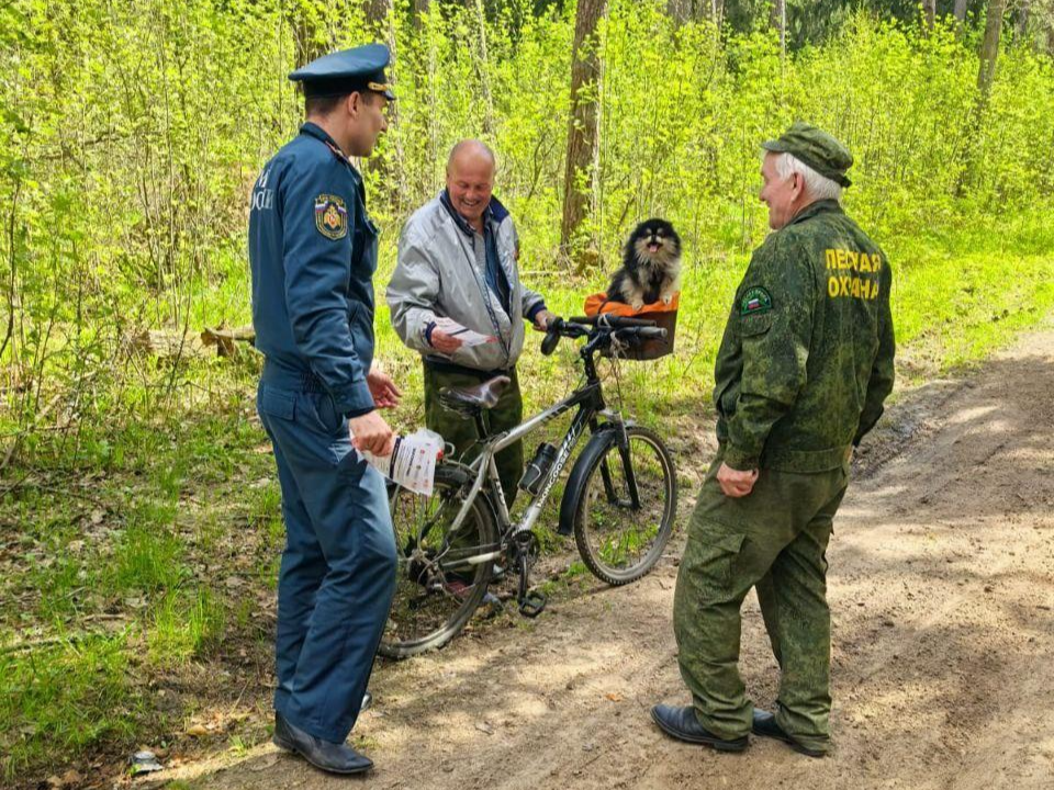 Фото: Комитет лесного хозяйства МО