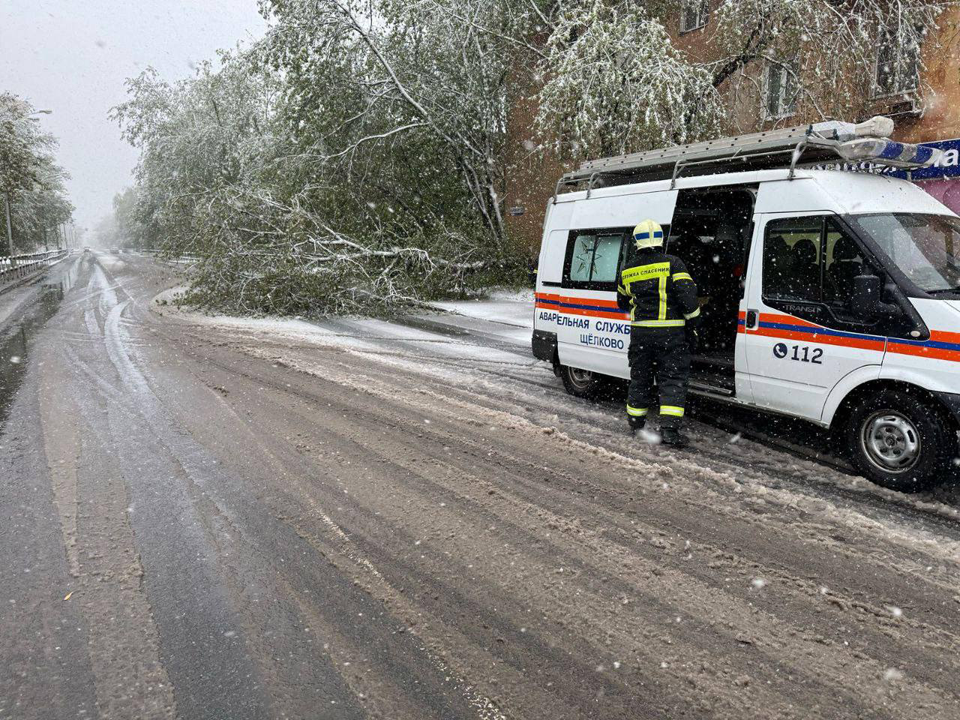 Фото: пресс-служба администрации г.о. Щелково