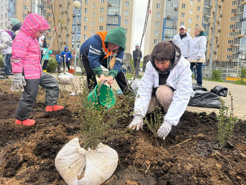 Фото: пресс-служба администрации г.о. Красногорск