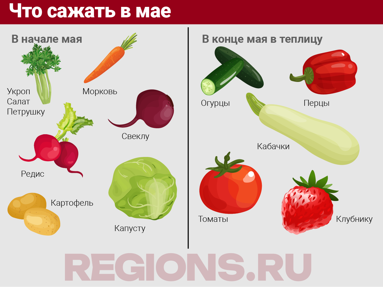 Фото: REGIONS