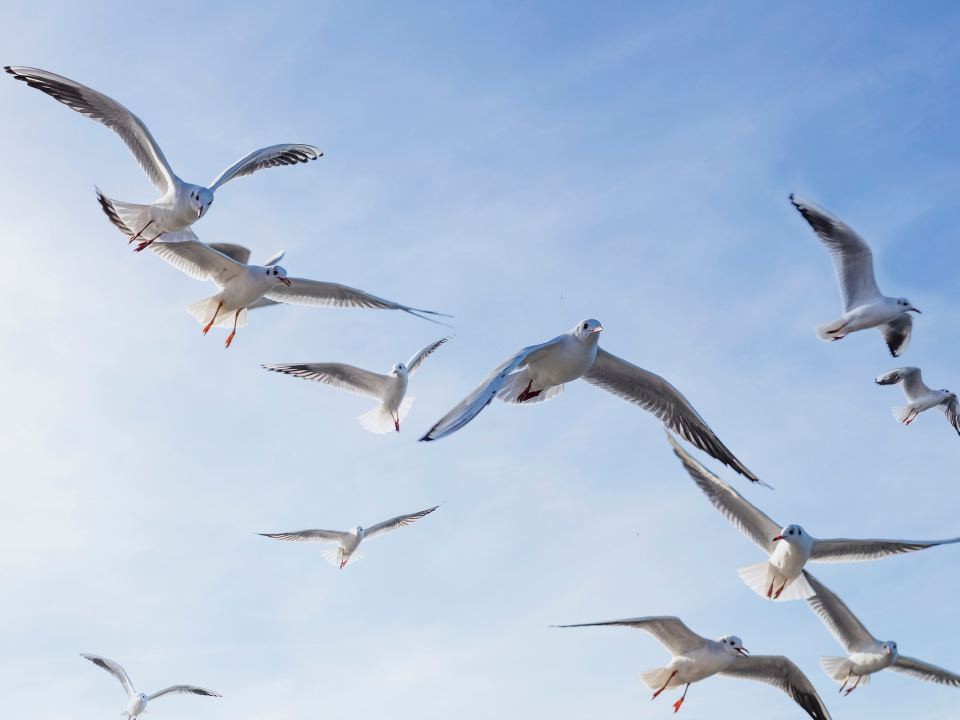 Фото: istockphoto.com