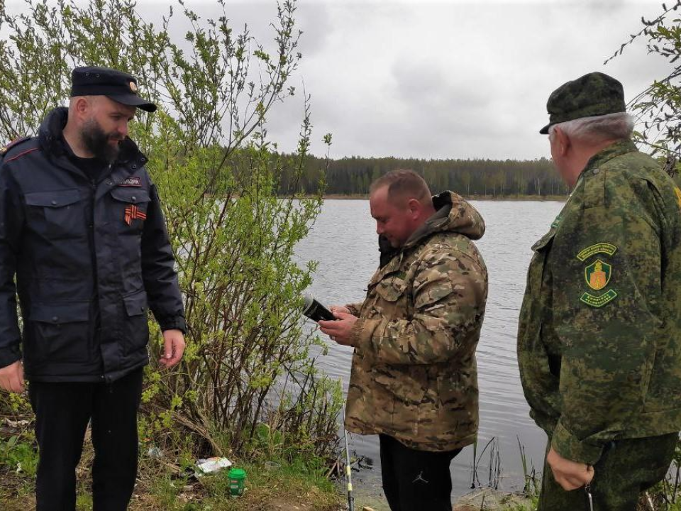 Фото: Комитет лесного хозяйства МО