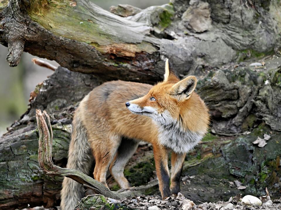 Фото: istockphoto.com
