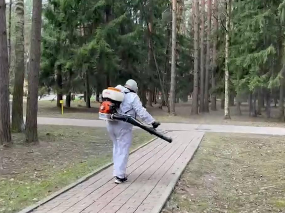 Фото: пресс-служба администрации г.о. Домодедово