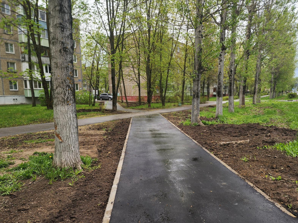 Фото: МедиаБанк Подмосковья/Светлана Плотникова