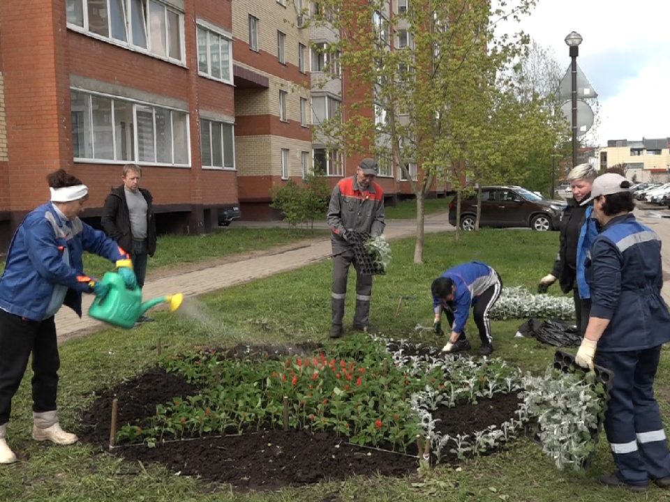 Фото: администрация городского округа Дубна  