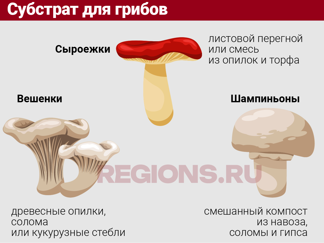 Фото: REGIONS
