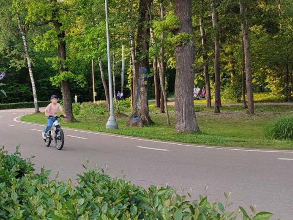 Фото: МБУ «Дирекция парков Одинцовского городского округа»