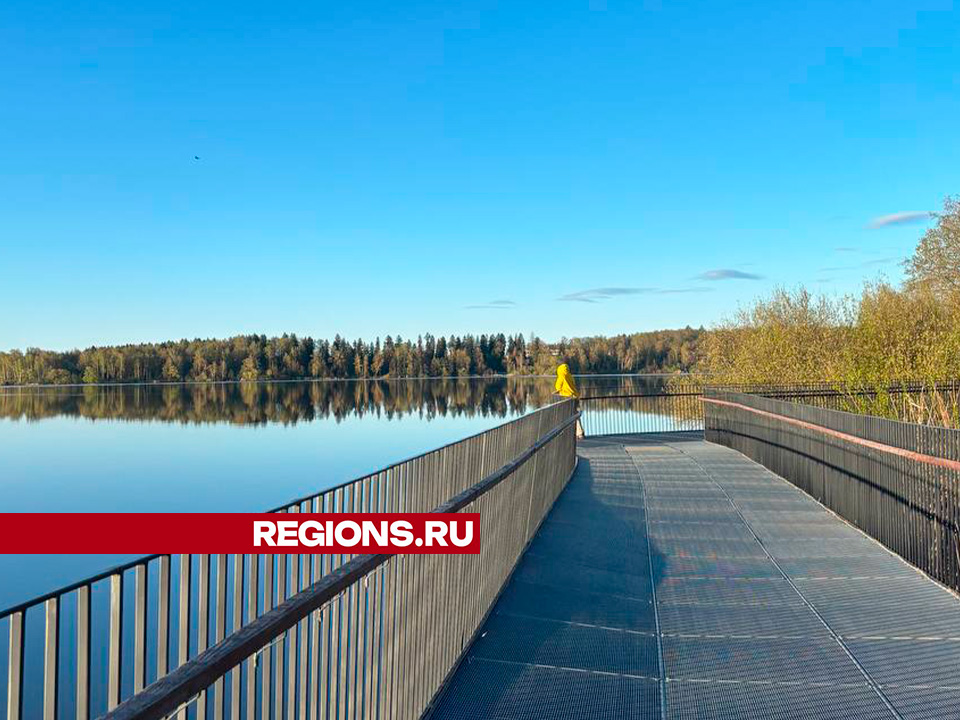Фото: REGIONS