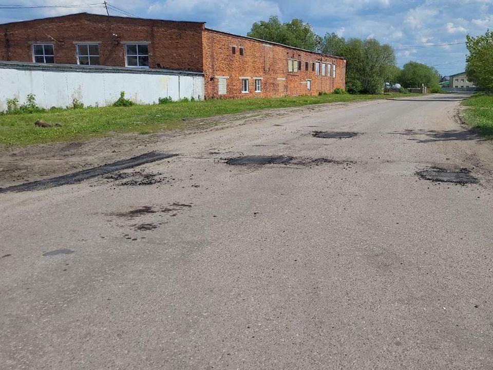 Фото: МедиаБанк Подмосковья/Анна Шолохова