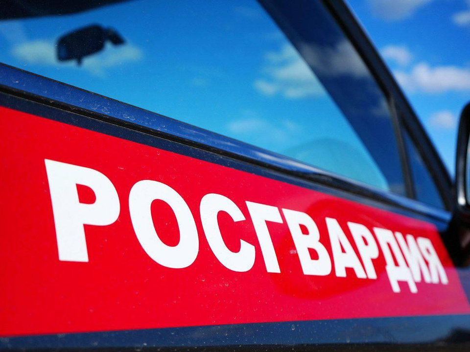 Фото: пресс-служба ГУ Росгвардии по Московской области