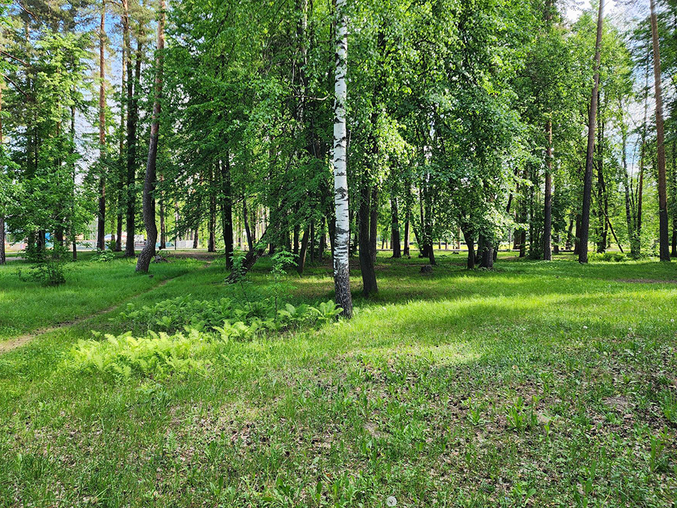 Фото: Вера Коренева