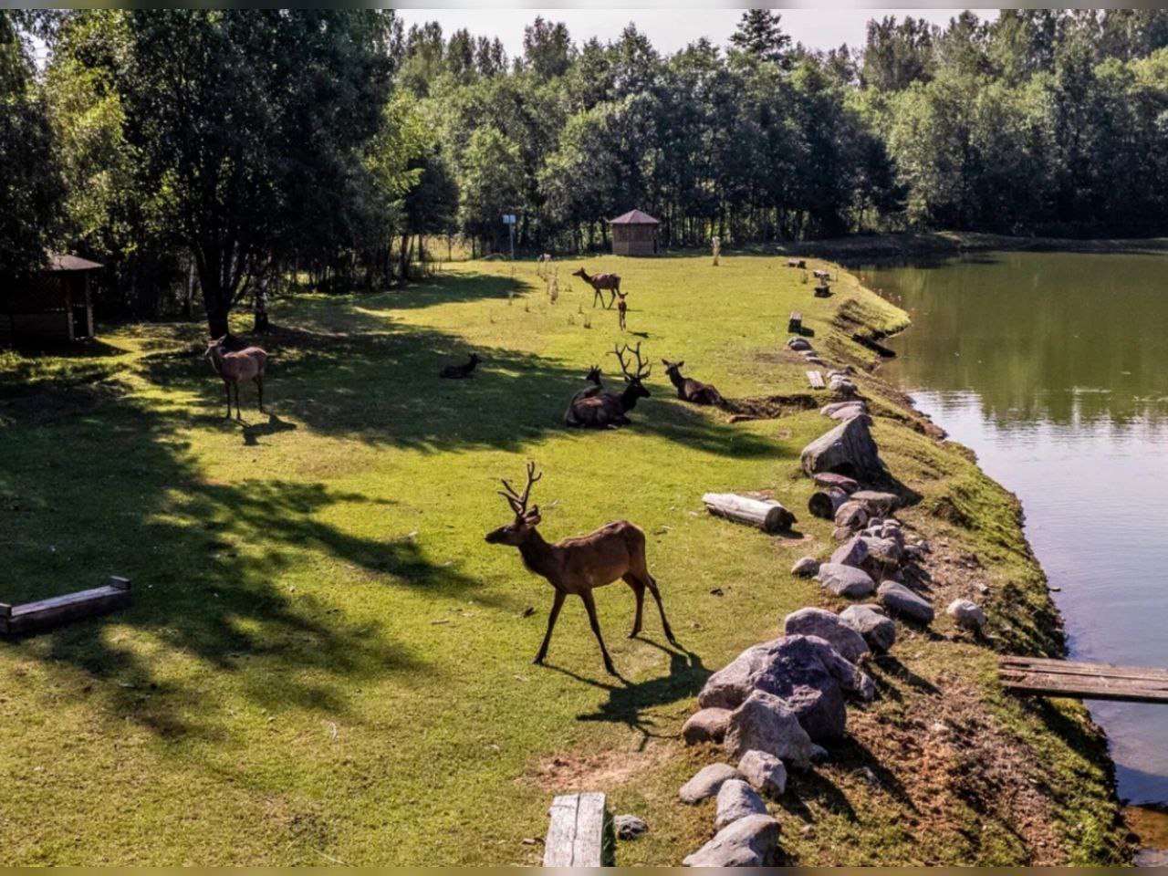 Фото: предоставлено из архива Усадьбы Веретьево