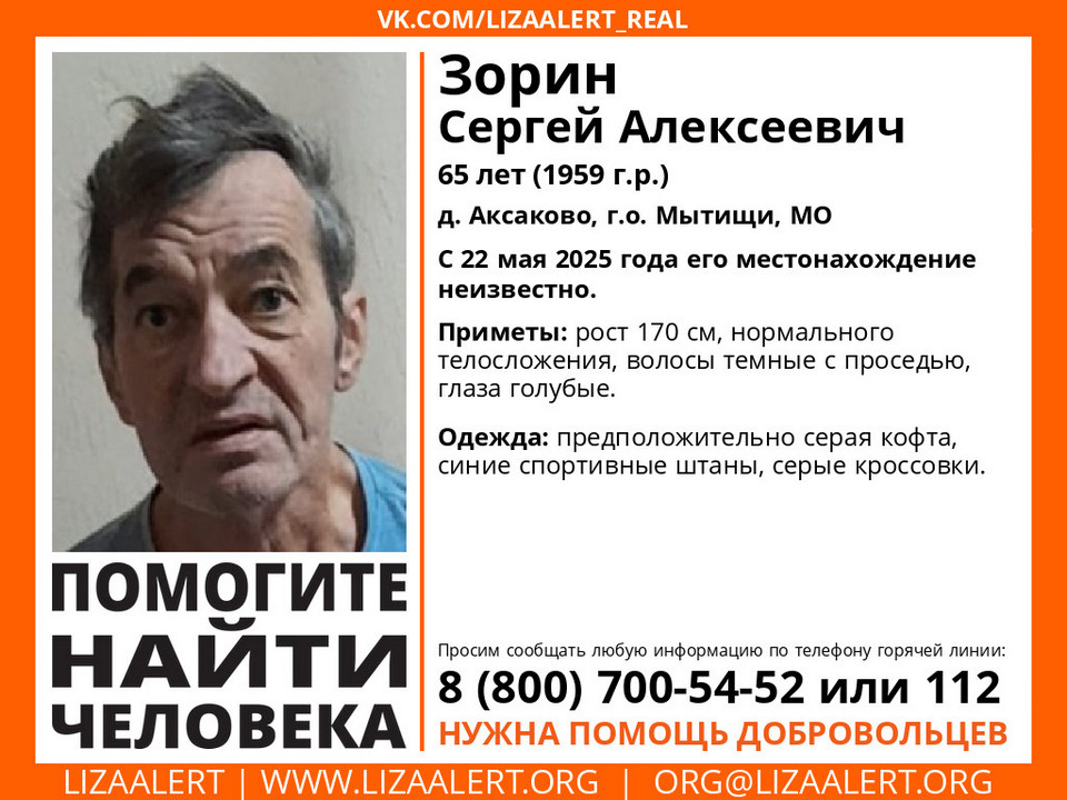 Фото: Поисково-спасательный отряд «Лиза Алерт»