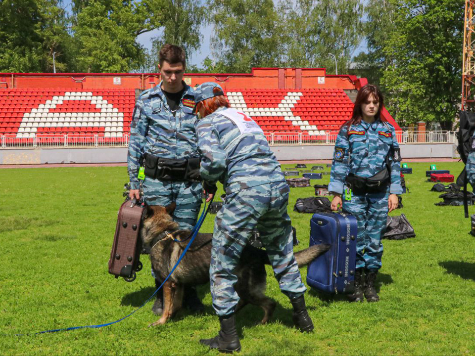 Фото: Спорткомплекс «Подмосковье»
