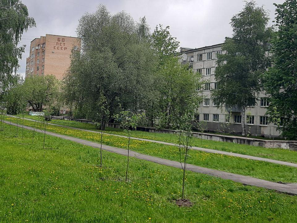 Фото: пресс-служба администрации Шатурского м.о.