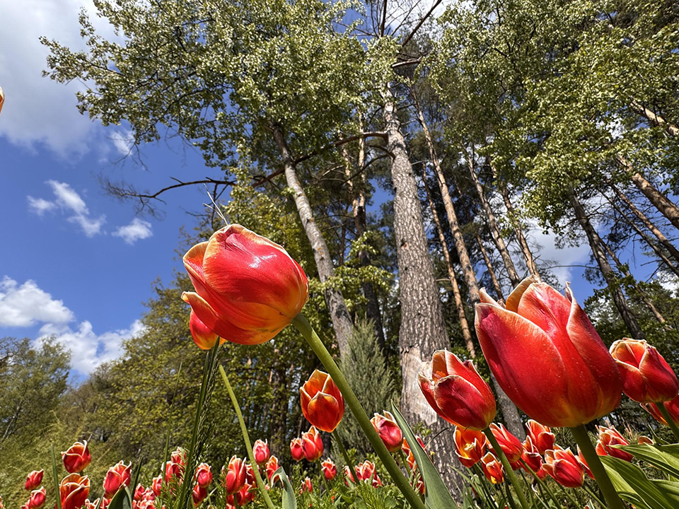 Фото: REGIONS/Мария Шматкова