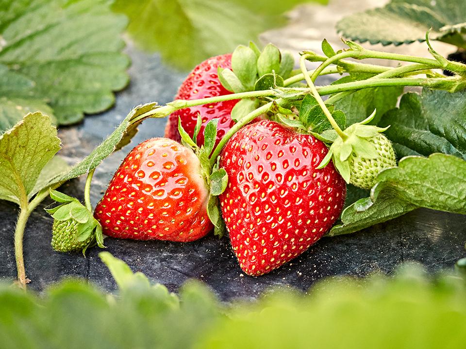 Фото: istockphoto.com