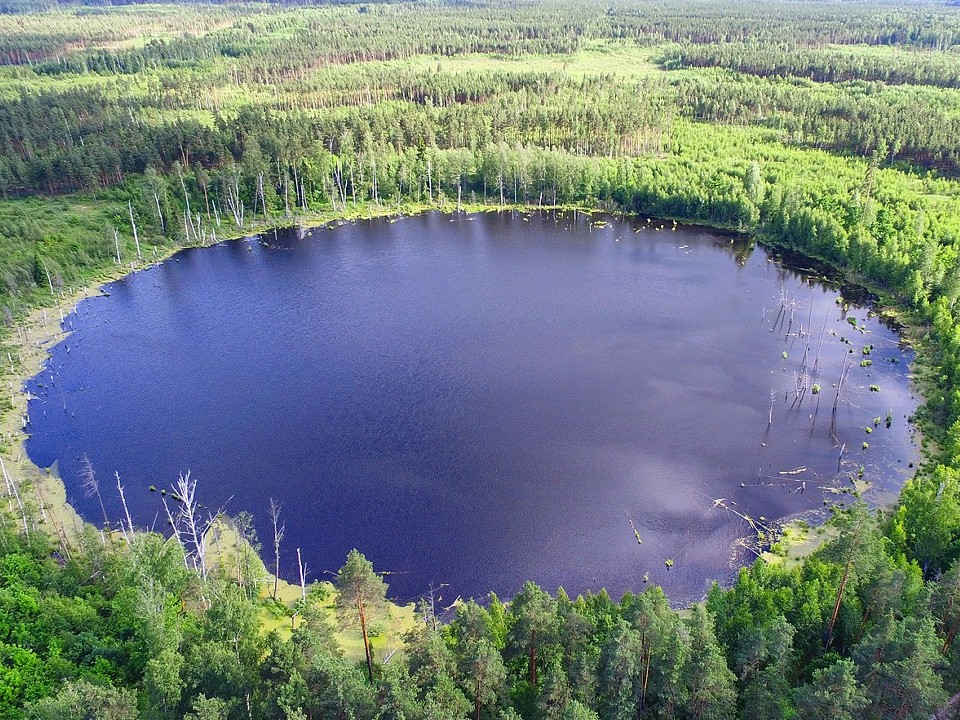 Фото: сommons.wikimedia/Евгений Шелковников. Смердячье озеро