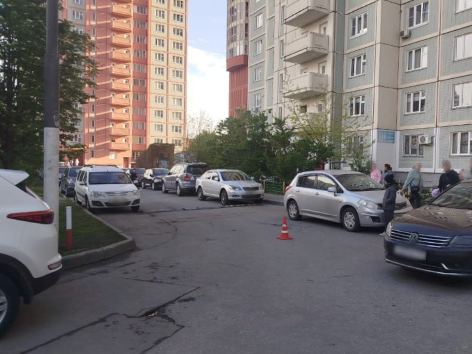 Фото: пресс-служба ГУ МВД России по Московской области