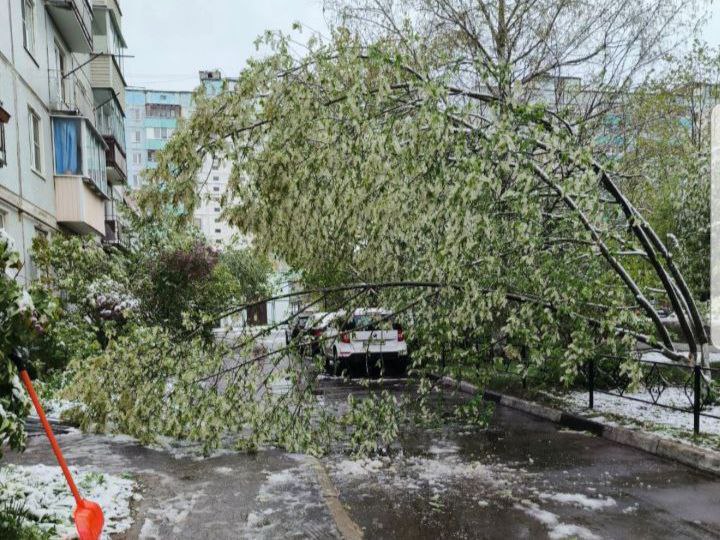 Фото: Администрация Краснознаменска