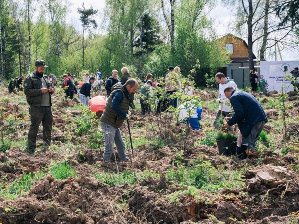 Фото: пресс-служба администрации г.о. Домодедово