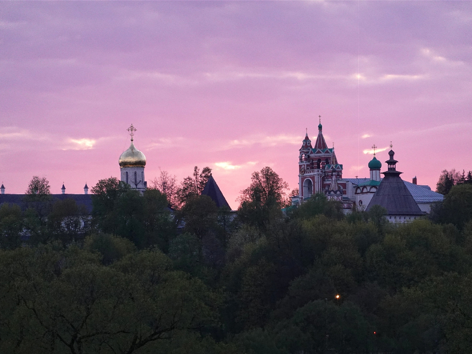 Фото: Евгения Шевнина
