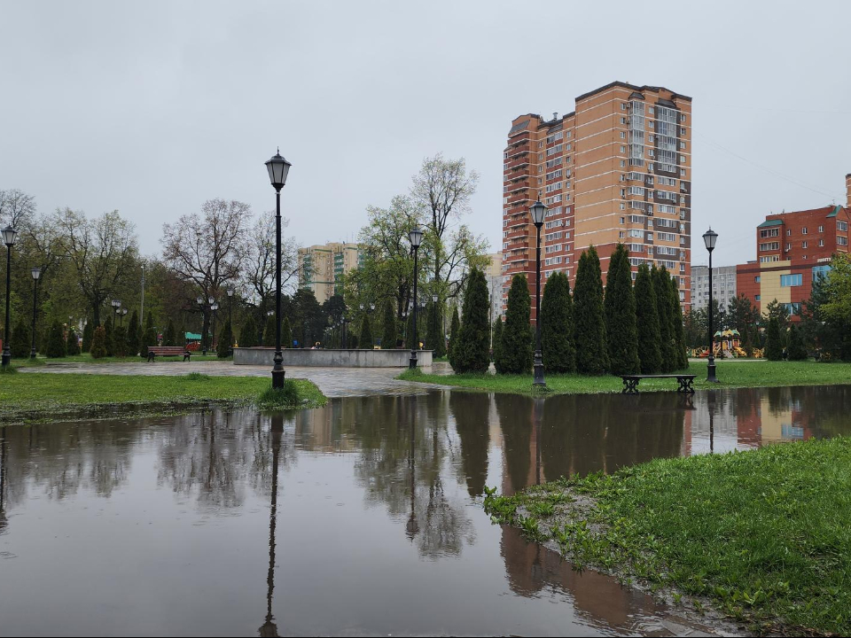 Фото: МедиаБанк Подмосковья/Валерия Тингаева