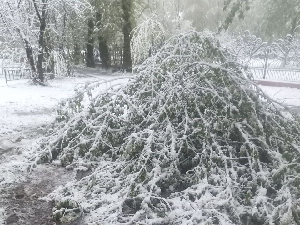 Фото: Администрация Краснознаменска