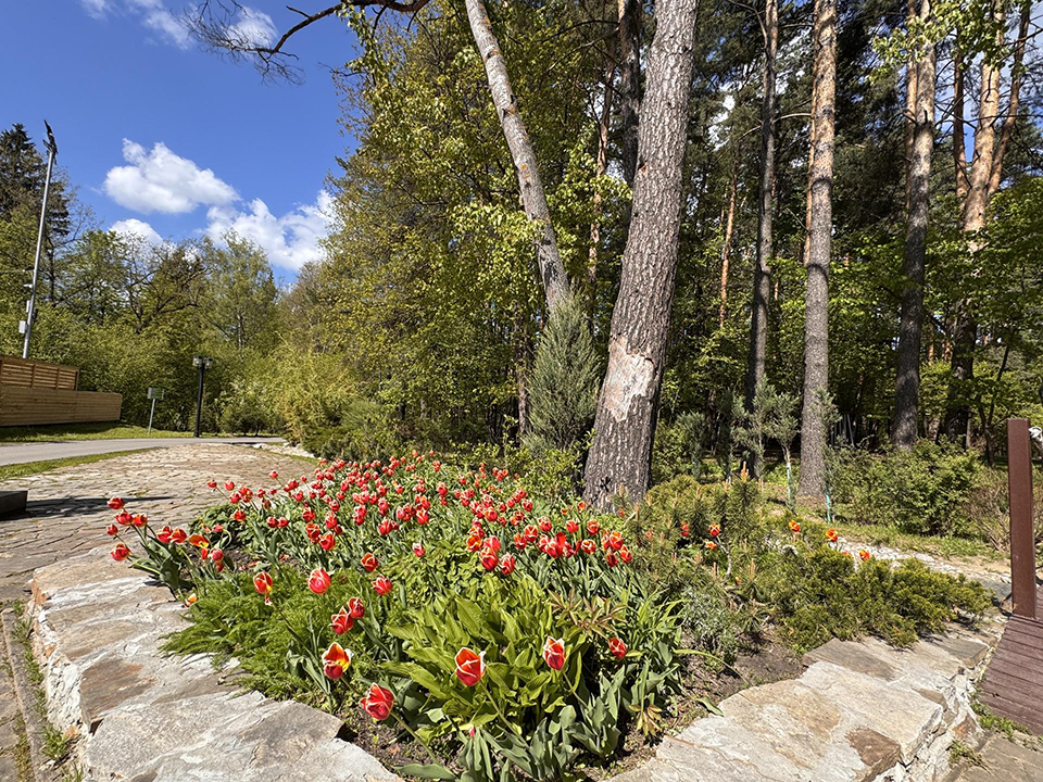 Фото: REGIONS/Мария Шматкова