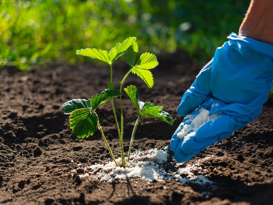 Фото: istockphoto.com