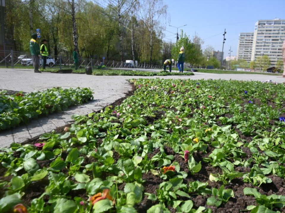 Фото: пресс-служба администрации Ленинского г.о.