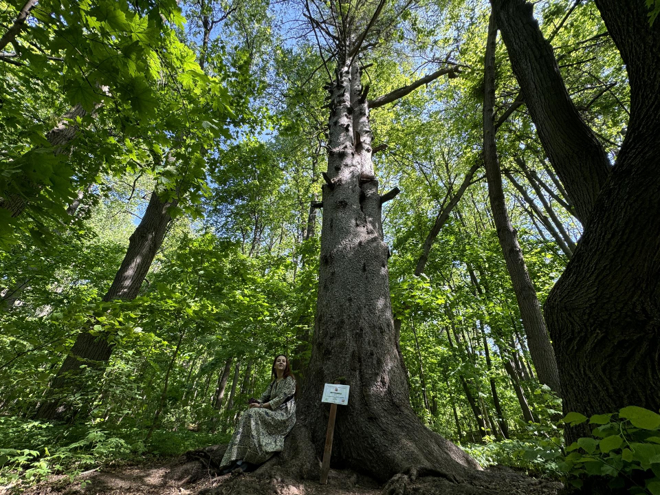 Фото: Полина Абраменко