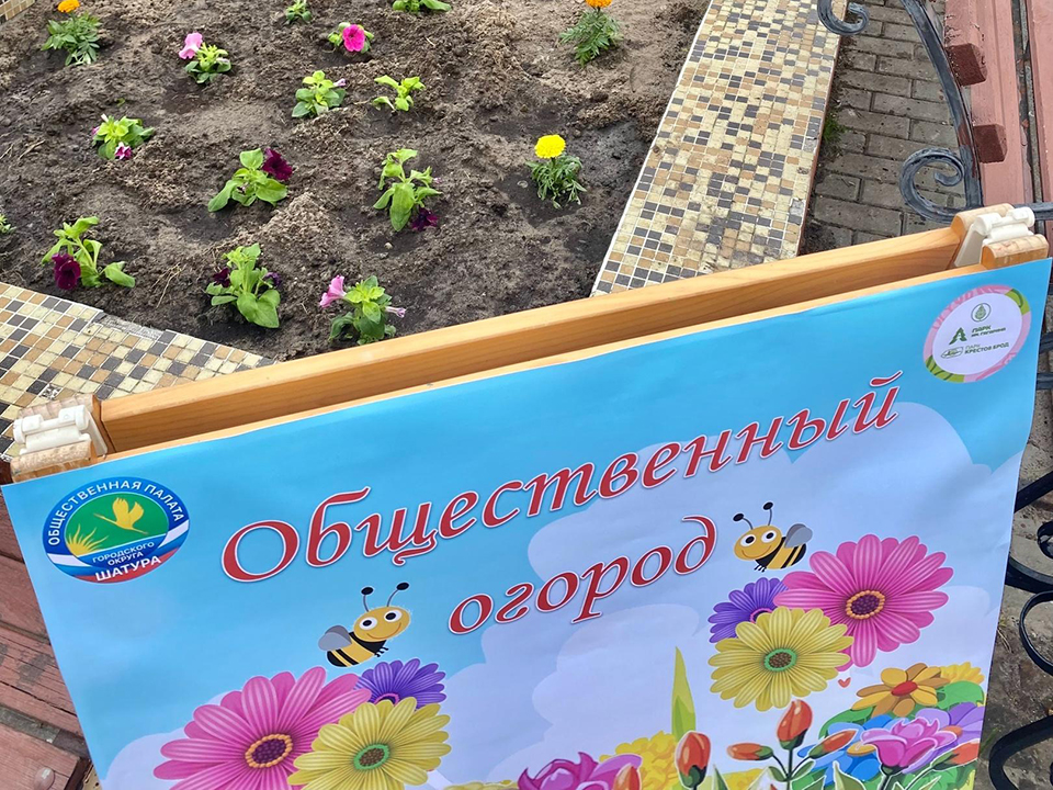 Фото: пресс-служба администрации Шатурского м.о.