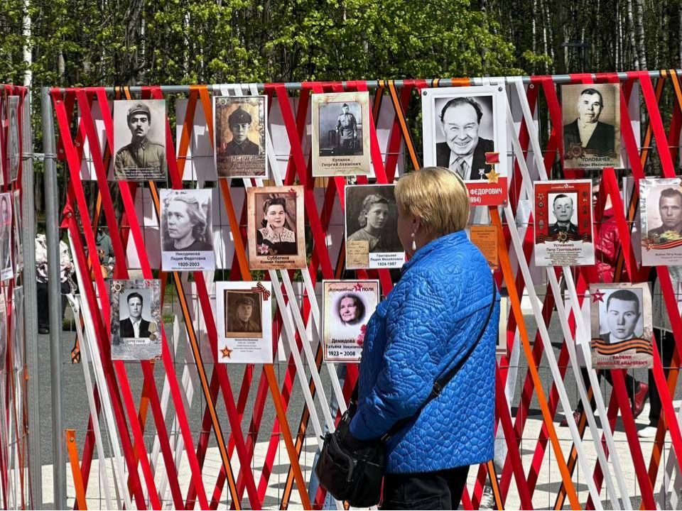 Фото: Министерство благоустройства МО
