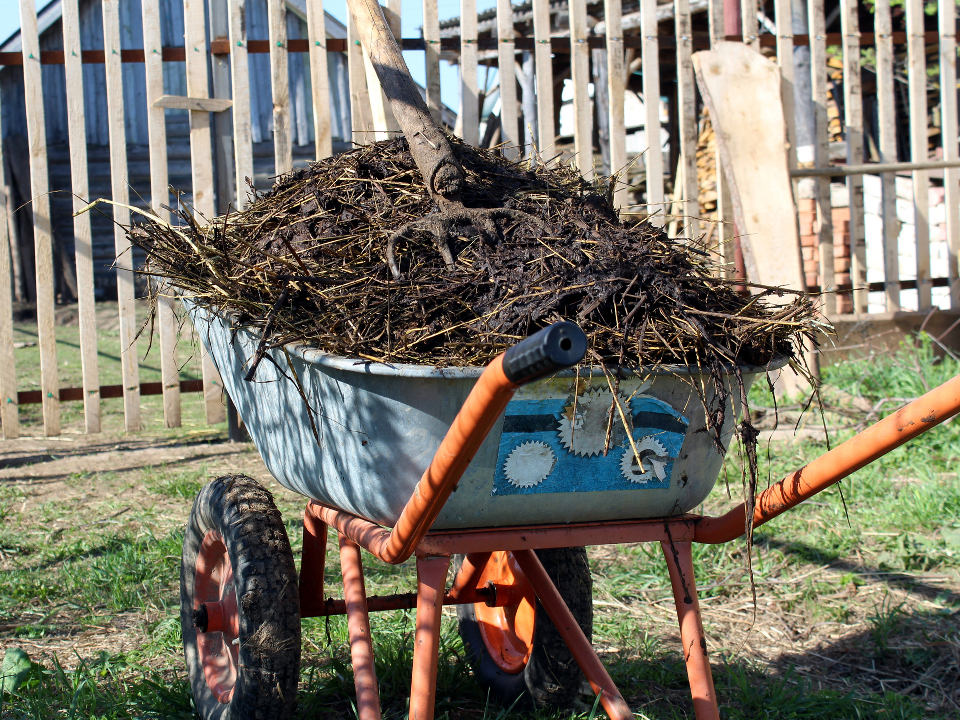 Фото: istockphoto.com