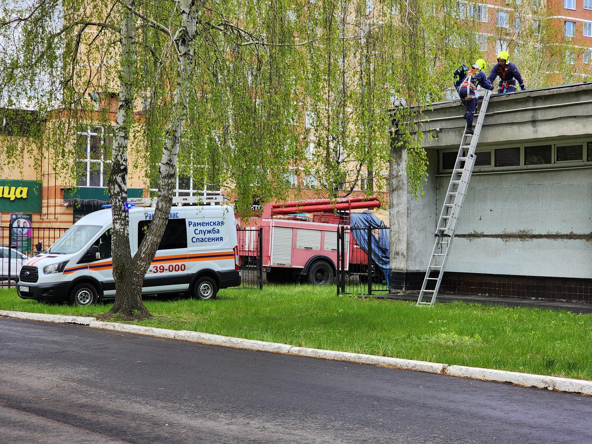 Фото: Ирина Моисеева