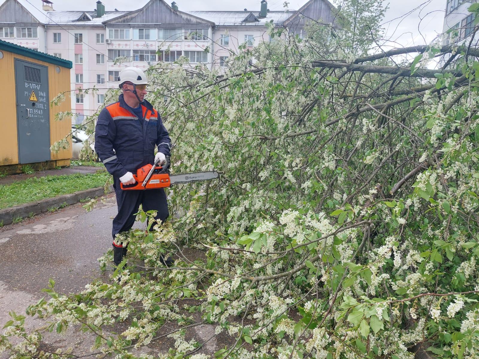 Фото: ГКУ МО «Мособлпожспас»