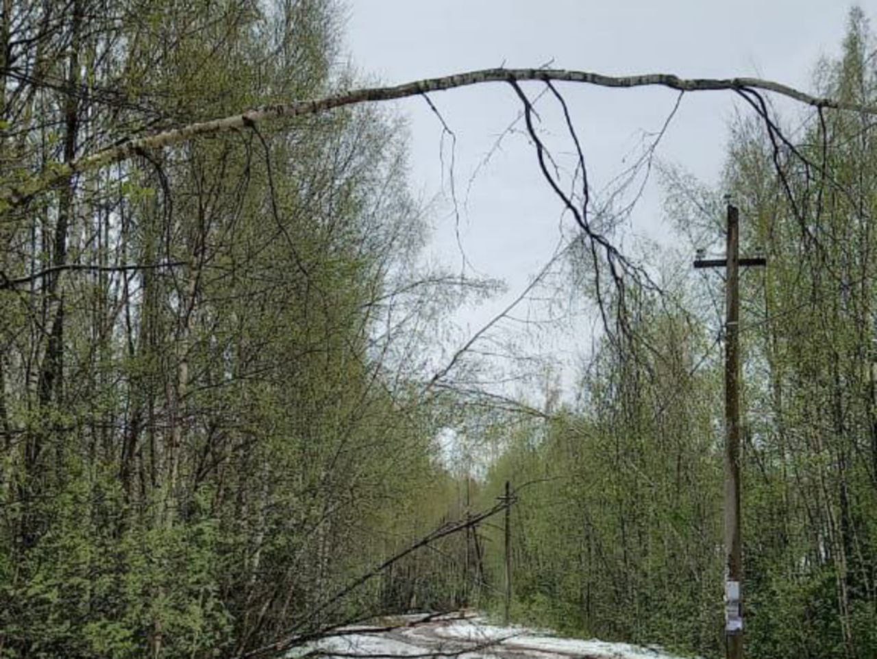 Фото предоставлено Татьяной Чернышевой