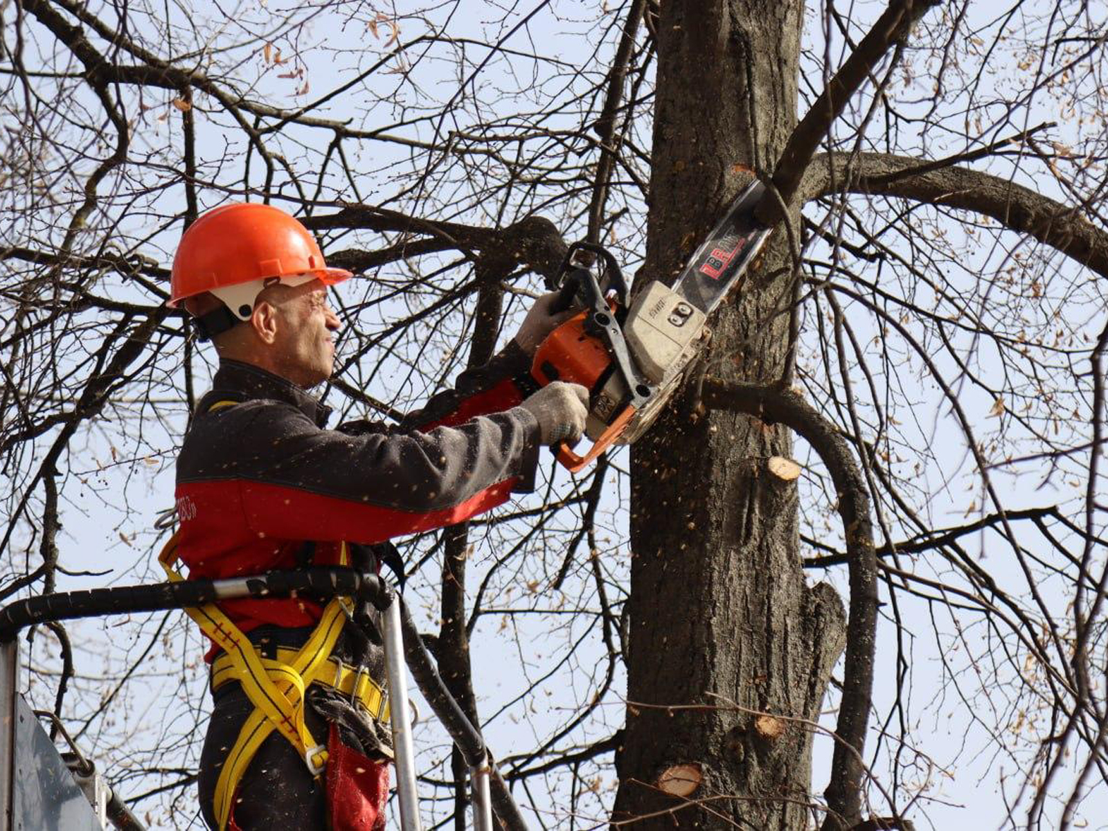 Фото: пресс-служба администрации г.о. Ступино